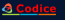 Codice Company logo